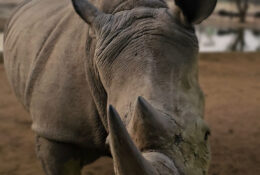 Namibia_August (94/135)